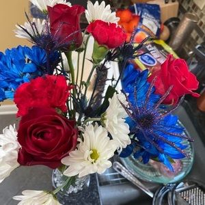 Meet your Posher, Sandy